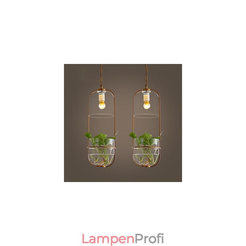 Moderne Pendelleuchte im zeitgenössischen dekorativen Design (ohne Pflanzen)